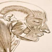 Facial Paralysis Facial Paralysis Nerve