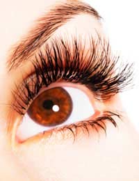 Latisse Eyelash Eyelash Enhancement Side